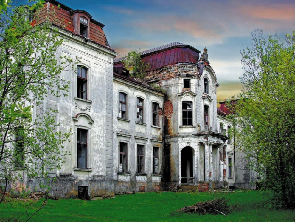 zheludok