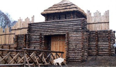 В Беловежской пуще создается музей древнего человека