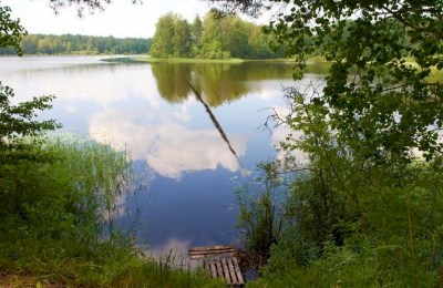 Ландшафтный заказник местного значения «Вышедская низина»