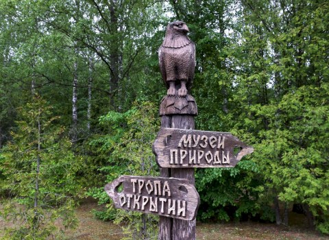 100 тысяч туристов в год: почему Березинский заповедник бьёт рекорд посещаемости