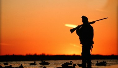 Беларусь – настоящее Эльдорадо для охотников и рыболовов!