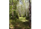 Березенский биосферный заповедник
