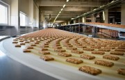 Кондитерская фабрика «Слодыч»