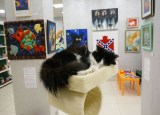 Музей кота в Минске