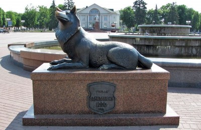 Памятник волку в г. Волковыск