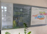 Музей природы Национального парка «Припятский»