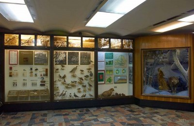 Музей природы и экологии РБ