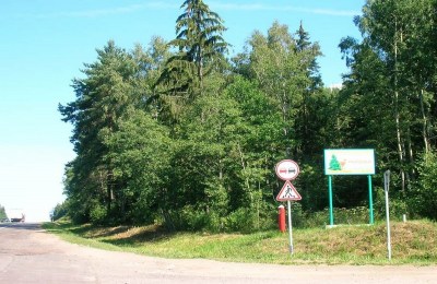 Государственное лесохозяйственное учреждение «Красносельское»