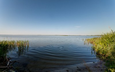 Озеро Чёрное (Березовский р-н)